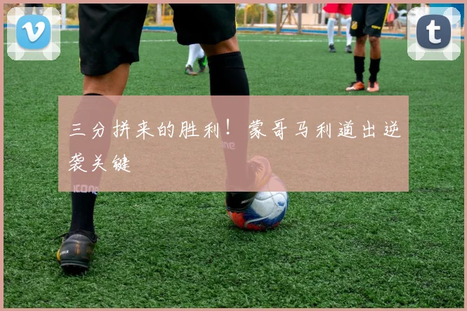 三分拼来的胜利!蒙哥马利道出逆袭关键